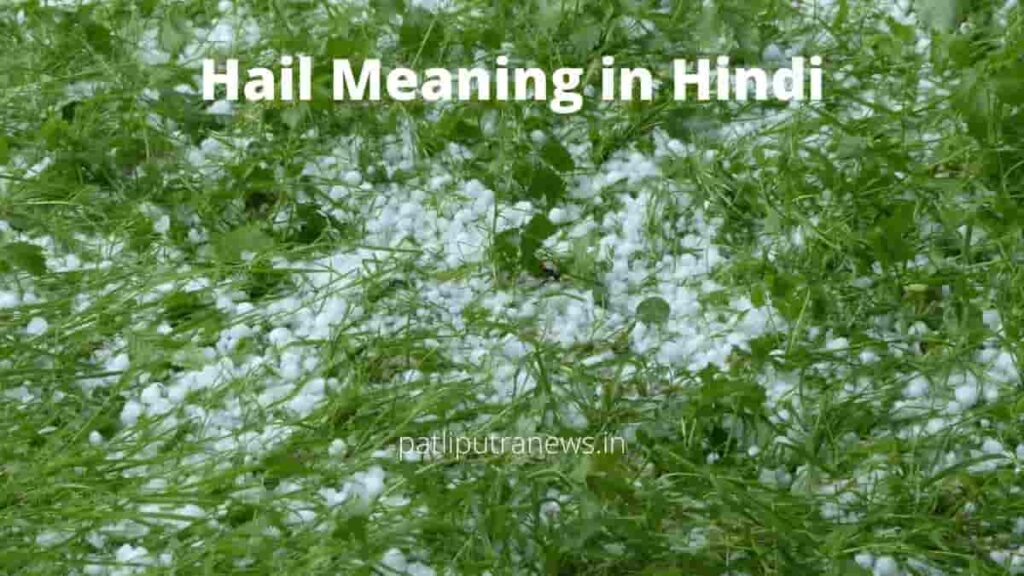 Hail Meaning in Hindi